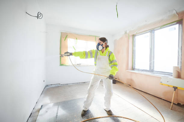 Wapello, IA Mold Removal Pros