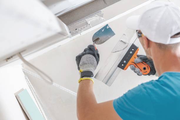 Best Mold Prevention Services  in Wapello, IA